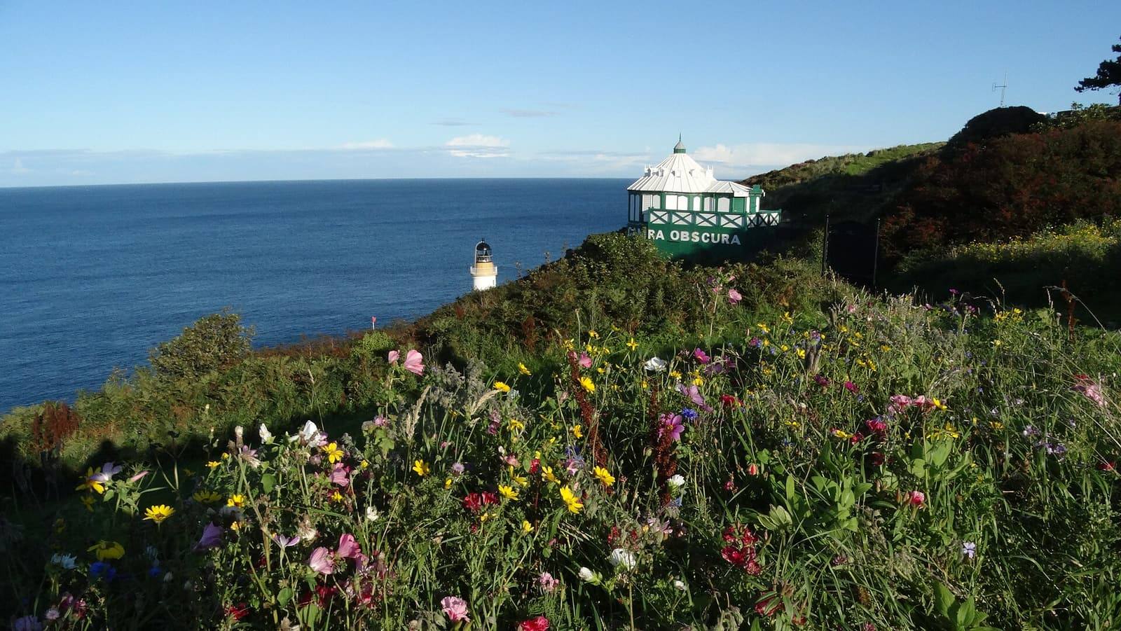 The small camera obscura building on Douglas Head above the sea, with wild flowers on the slope in front.