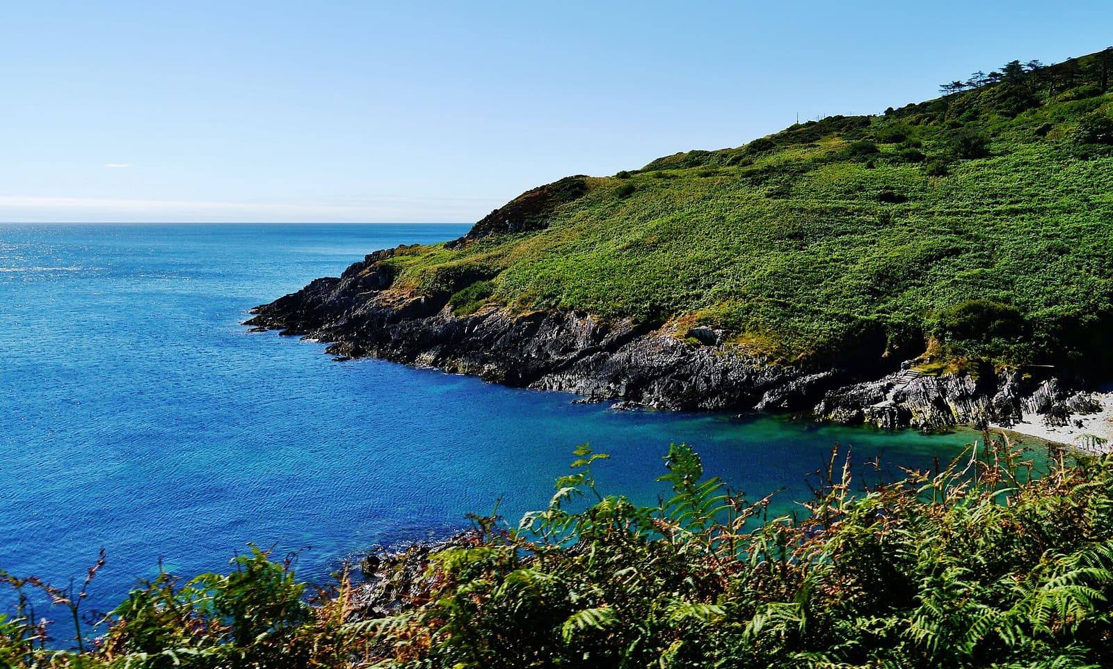 A green, bracken-covered headland dropping into deep blue sea on the coast near Groudle in Onchan.