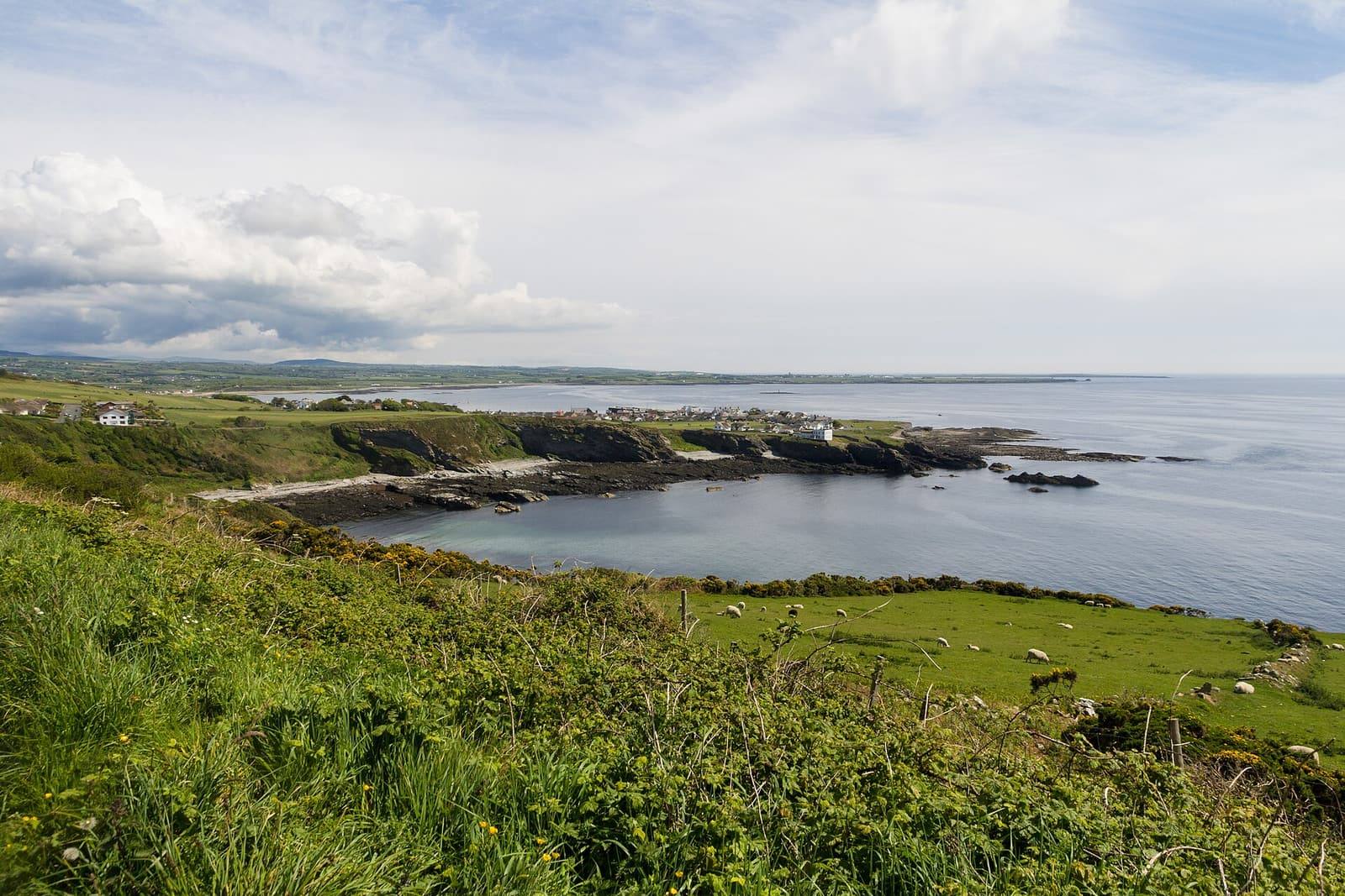 Green fields and grassy cliffs leading down to a small rocky bay under a soft, bright sky.